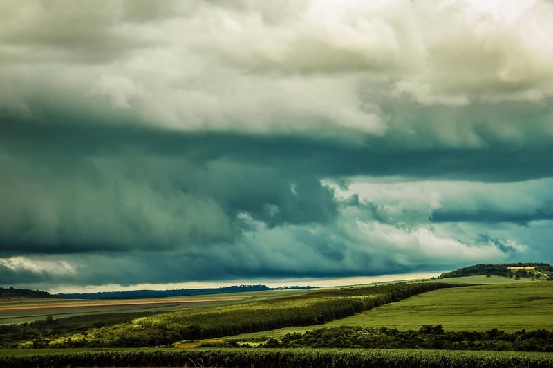 Temporal Shifting